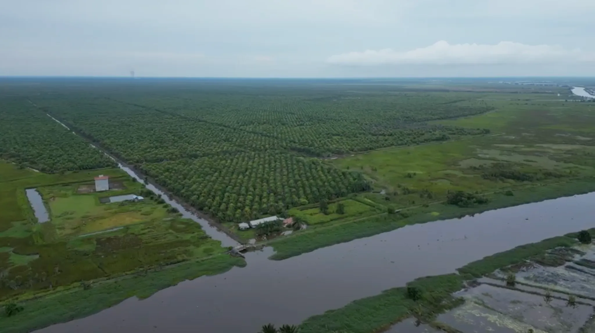 Tanah Kebun Sawit Dijual 604 Hektar di Tapin 2