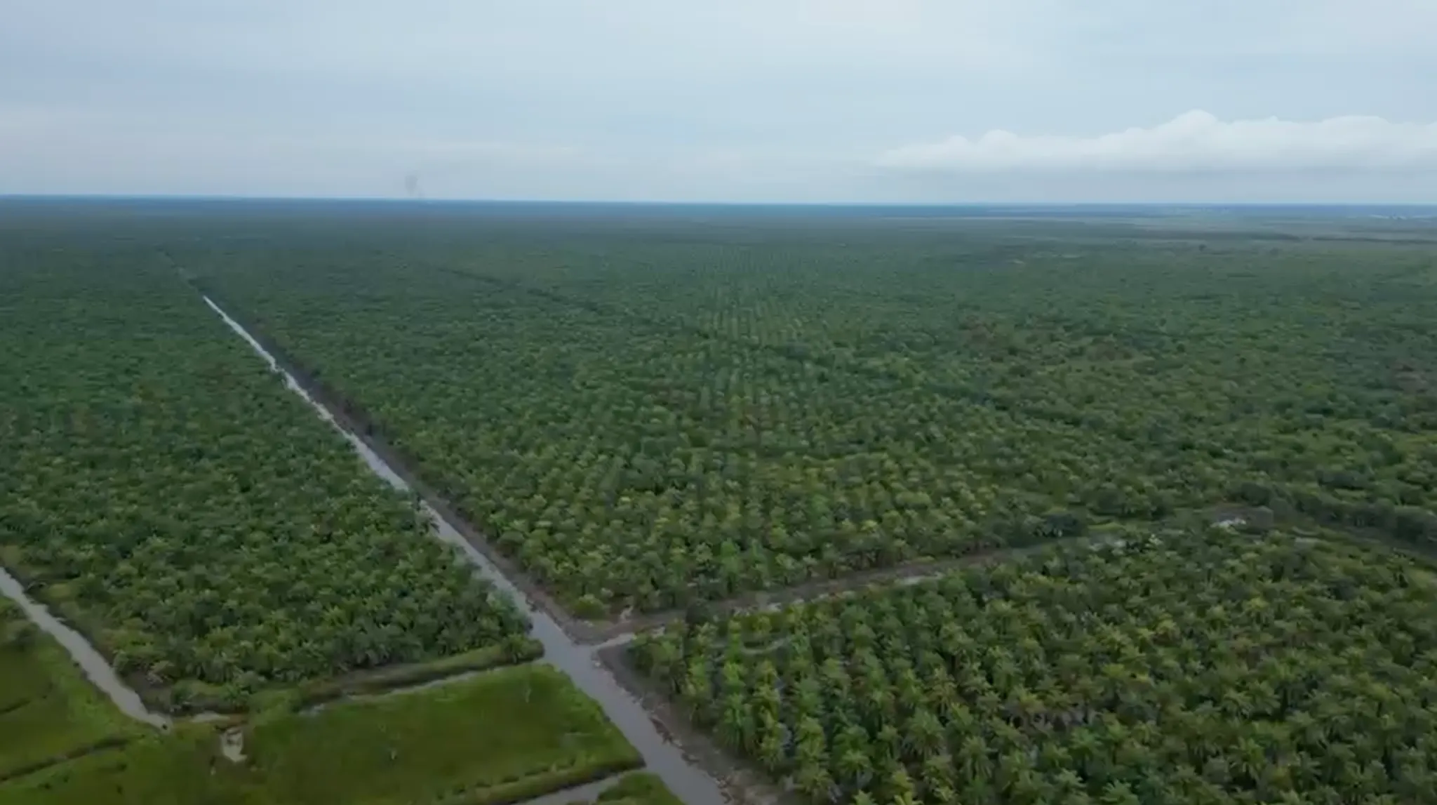 Tanah Kebun Sawit Dijual 604 Hektar di Tapin