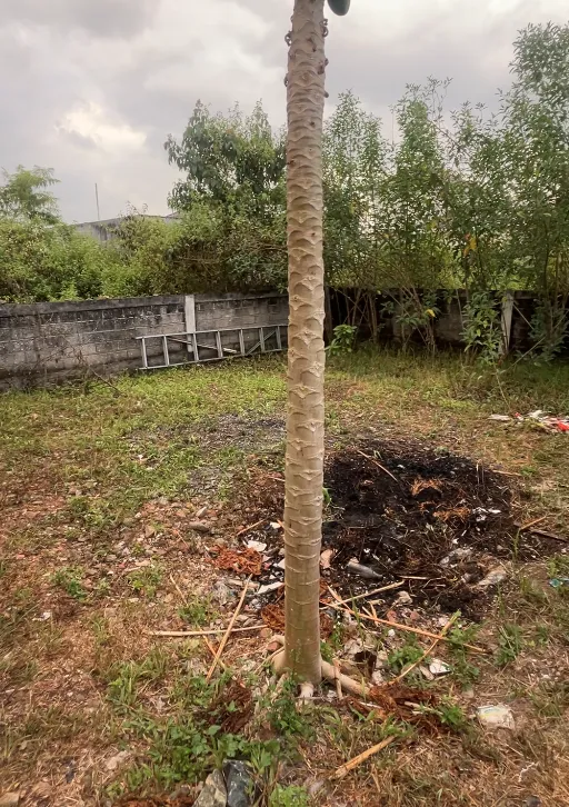 Rumah Dijual Tipe 40 di Citra Mitra City, Banjarbaru 6