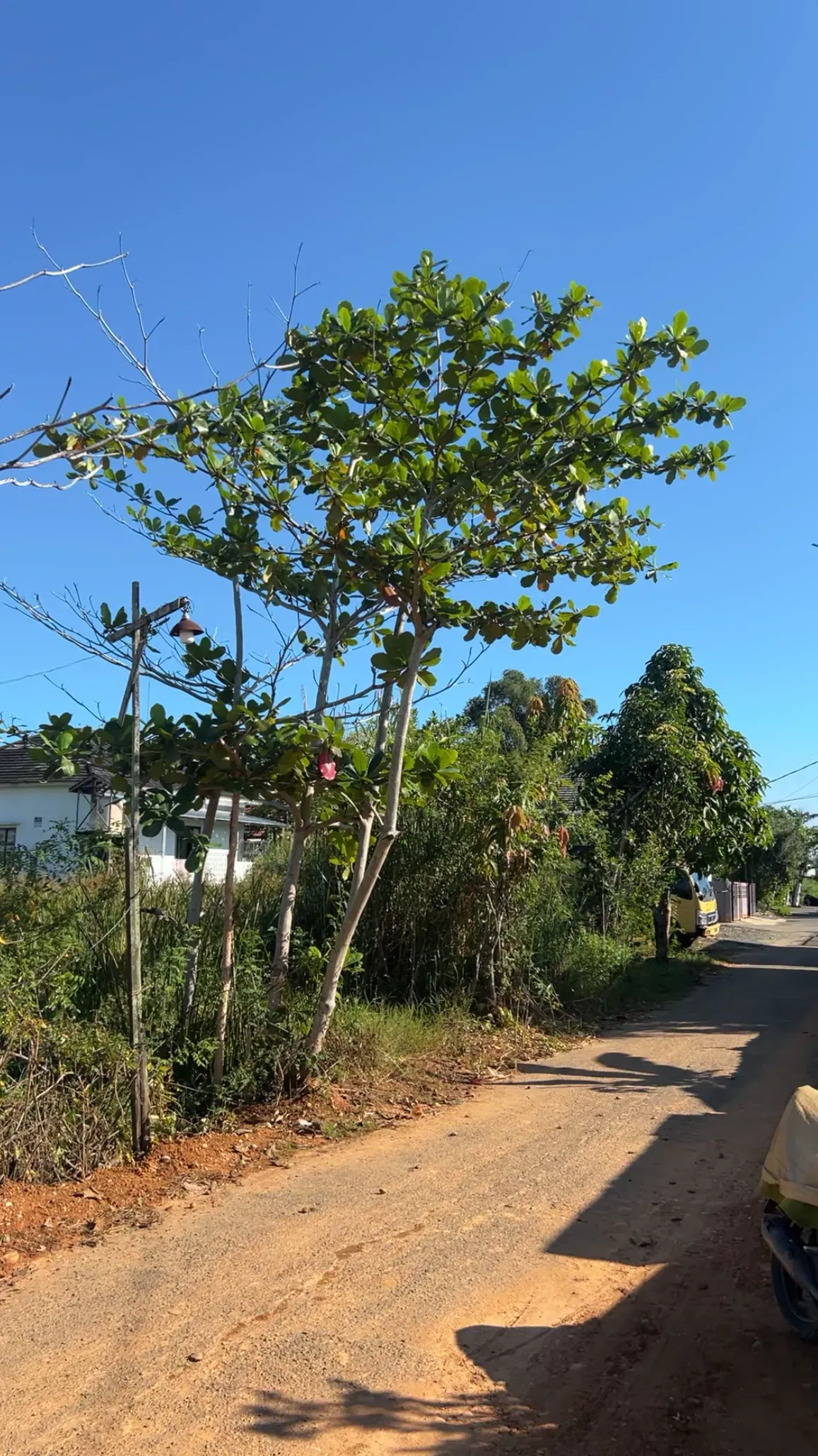 Tanah Dijual SHM 195 m² di Gatot Subroto, Banjarmasin