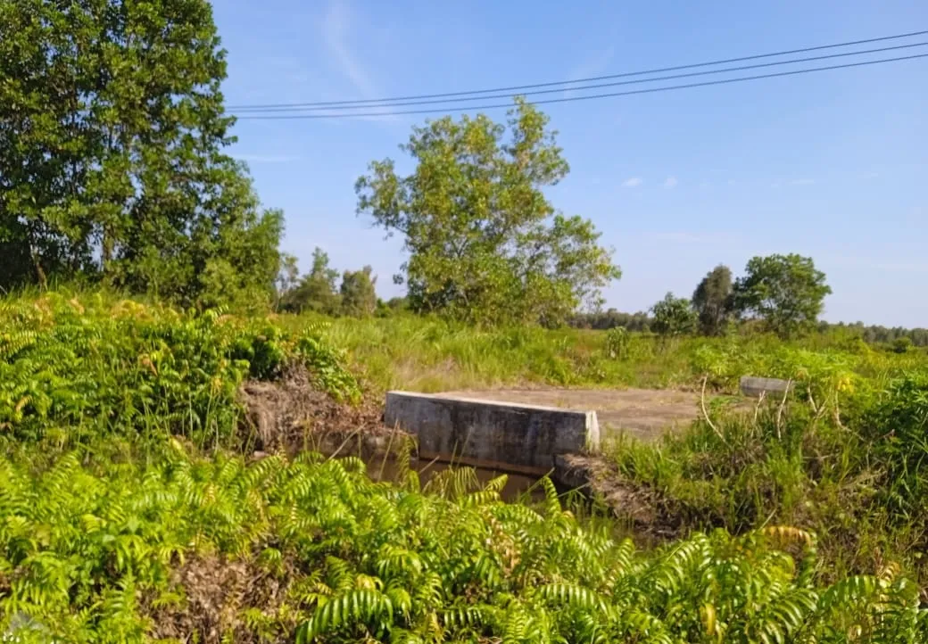 Tanah Dijual 8.817 m² Depan Kampus Muhammadiyah Banjarmasin 3