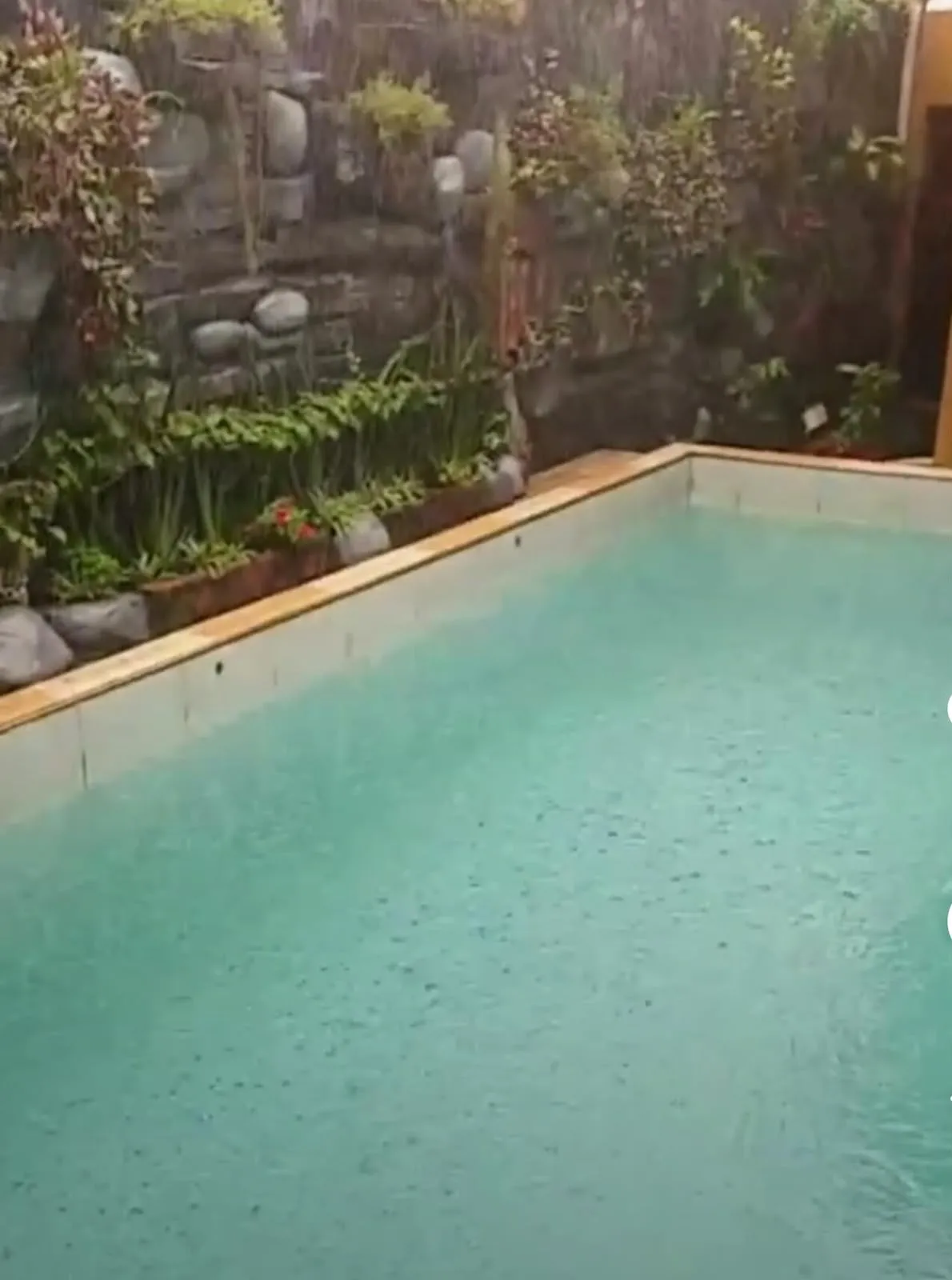 Rumah dengan Kolam Renang Dijual di Jl. Sultan Adam, Banjarmasin 3