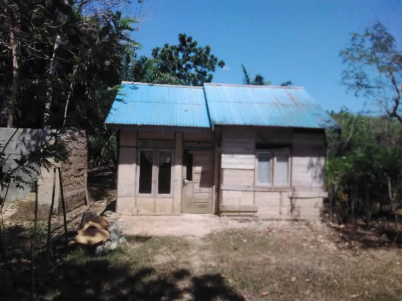 Tanah Dijual 1.050 m² Beserta Kelapa Sawit di Sungai Riam